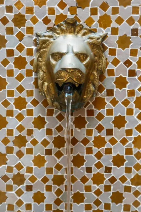 Riad Alech Essaouira
